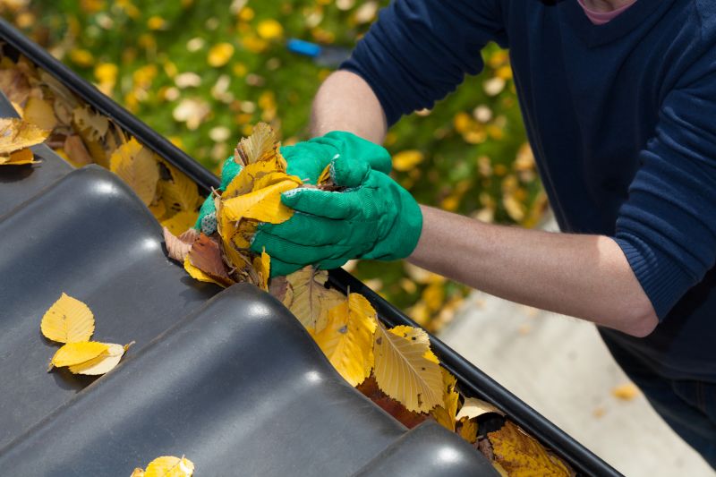 Business Gutter Cleaning in Roseville, CA
