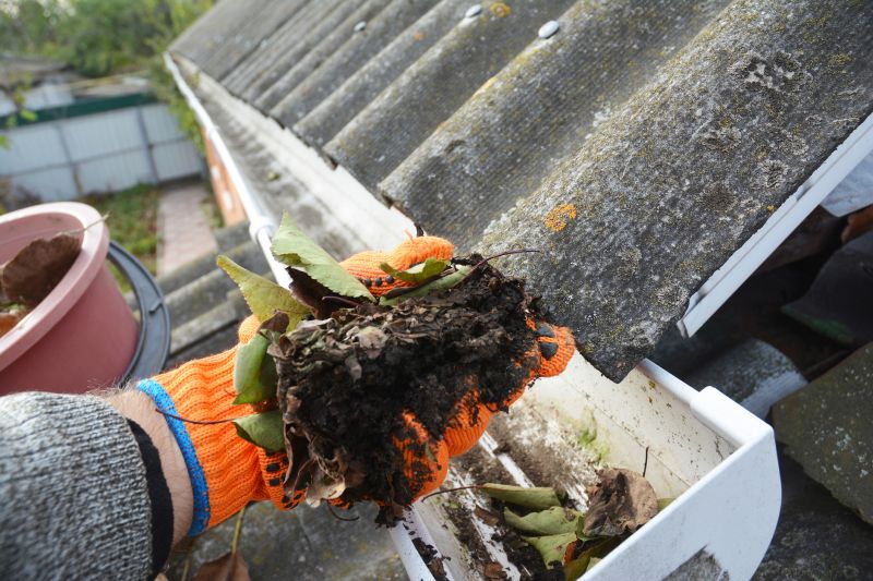 Roof Gutter Cleaning detail