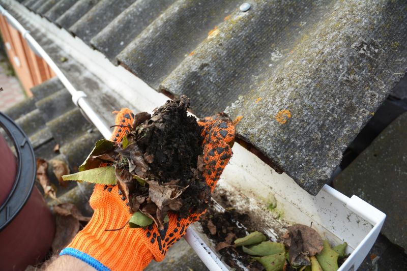 Roof Gutter Cleaning detail