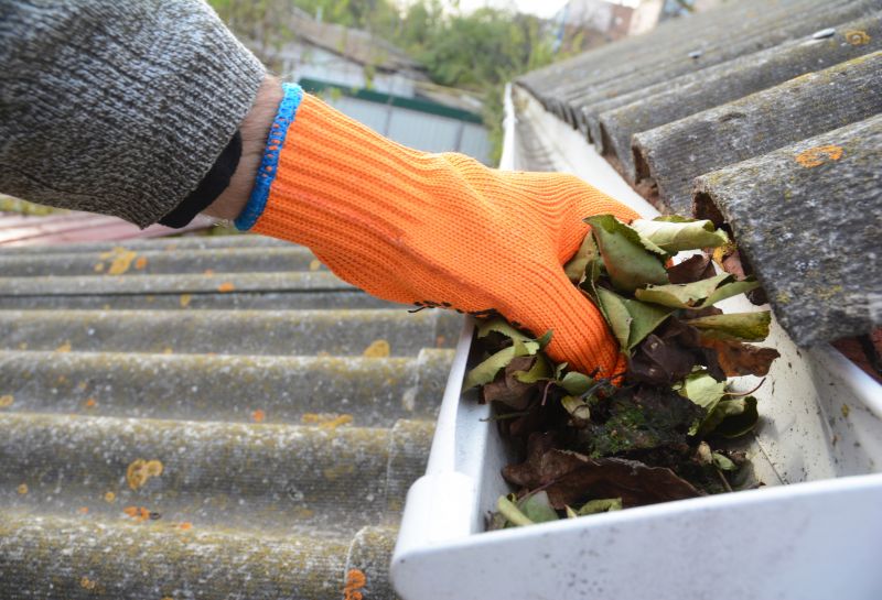 Gutter Leaves Removal in Monmouth County, NJ