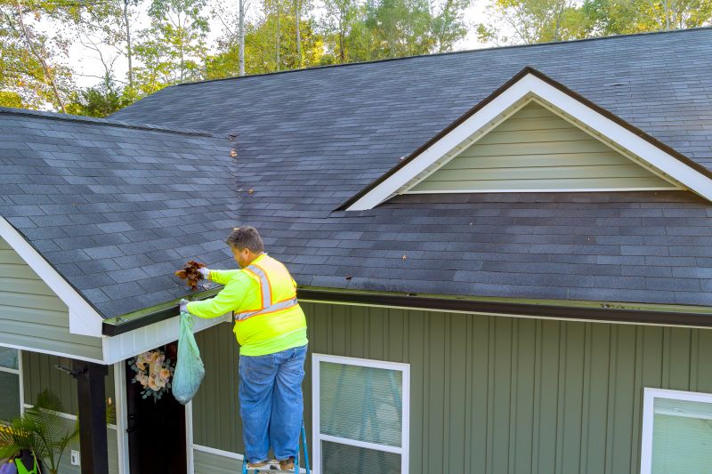 Local Roof Gutter Cleaning pros at work